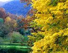 Autumn in Corsica