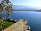calvi