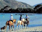 Spring in Corsica